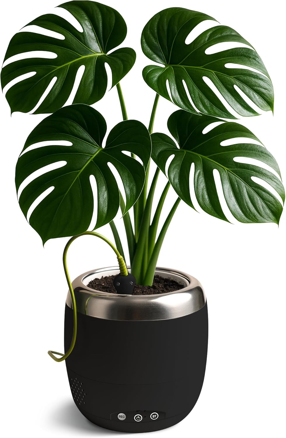 Plantpetz Intelligenter Pflanzentopf 10 cm - Schwarz
