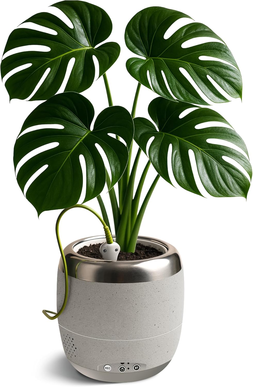 Plantpetz Intelligenter Pflanzentopf 10 cm - Stein-Optik
