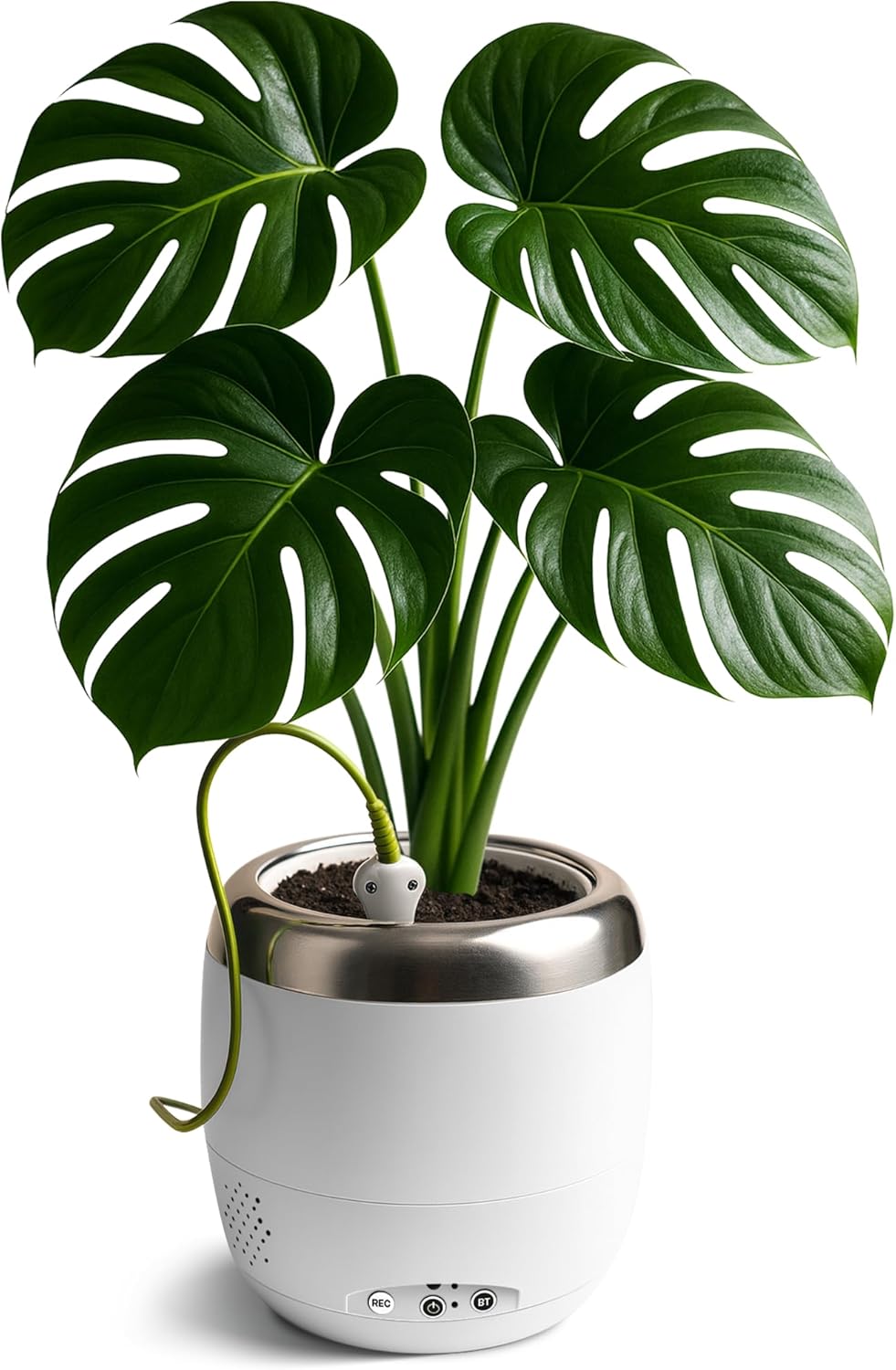 Plantpetz Intelligenter Pflanzentopf 10 cm - Weiß