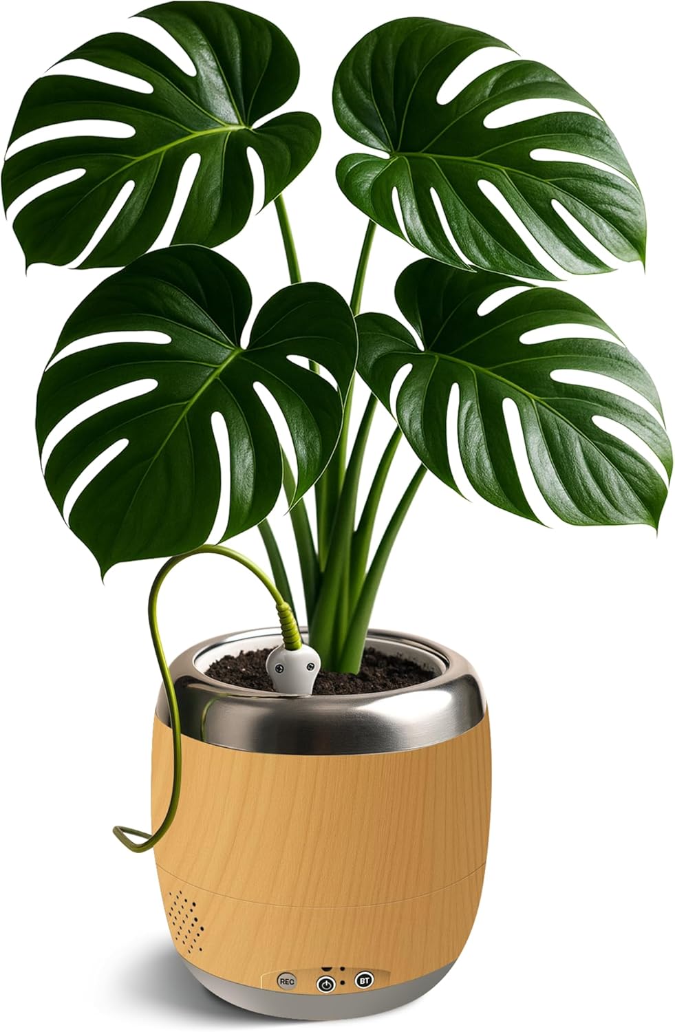 Plantpetz Intelligenter Pflanzentopf 10 cm - Holz-Optik